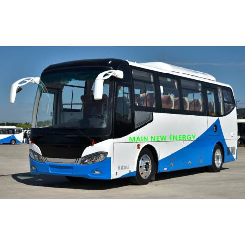 30 місць електричний туристичний автобус